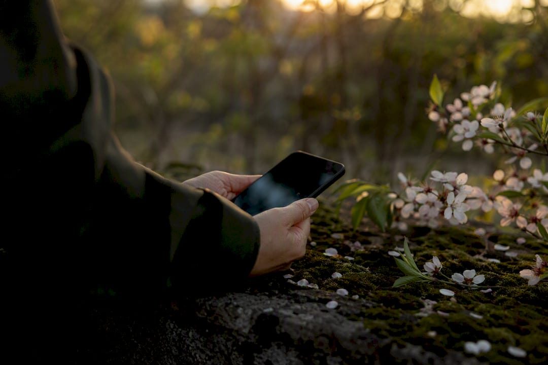 Make a Memorial Website That Feels Like Home