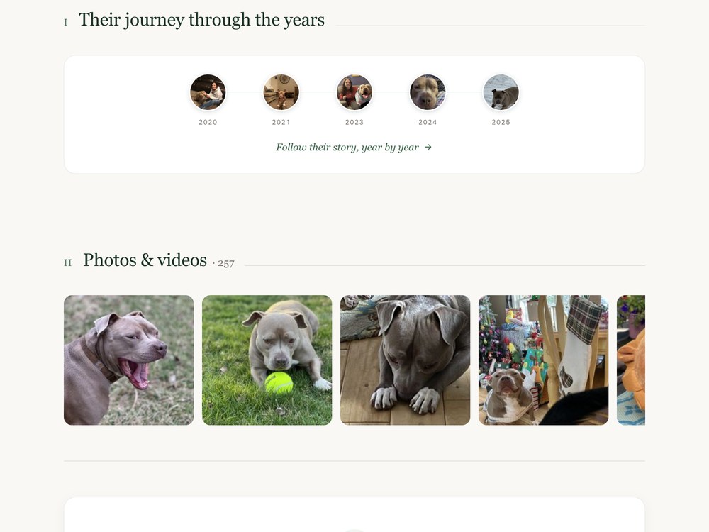 A pet memorial's photos and videos gathered in one gallery